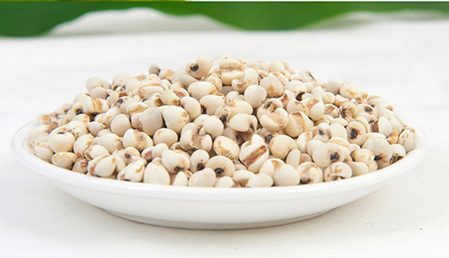 四款薏米美白粥 美白轻松吃出来