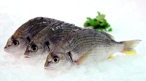 买鱼的四个实用技巧 个头“八分大”最好