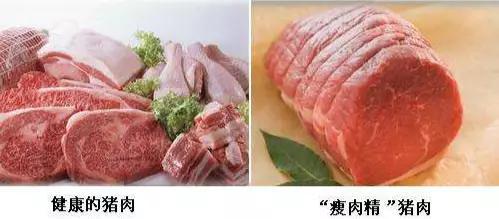 如何辨别瘦肉精猪肉