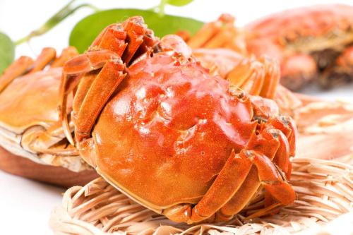 螃蟹什么部分不能吃