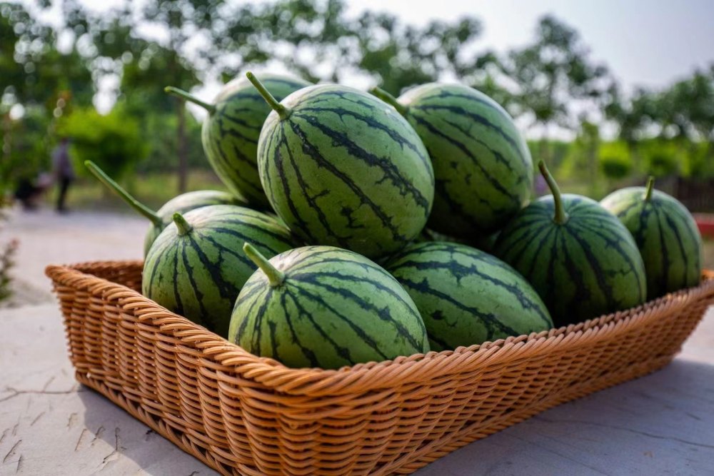 秋天吃的减肥水果，不妨试试