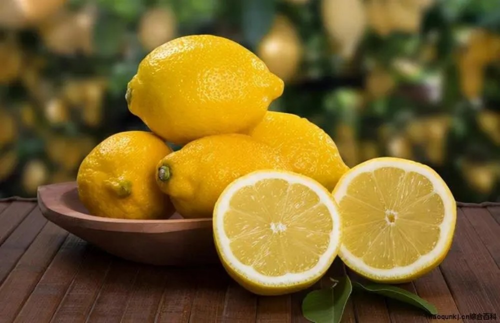 秋天减肥，保持这几个习惯