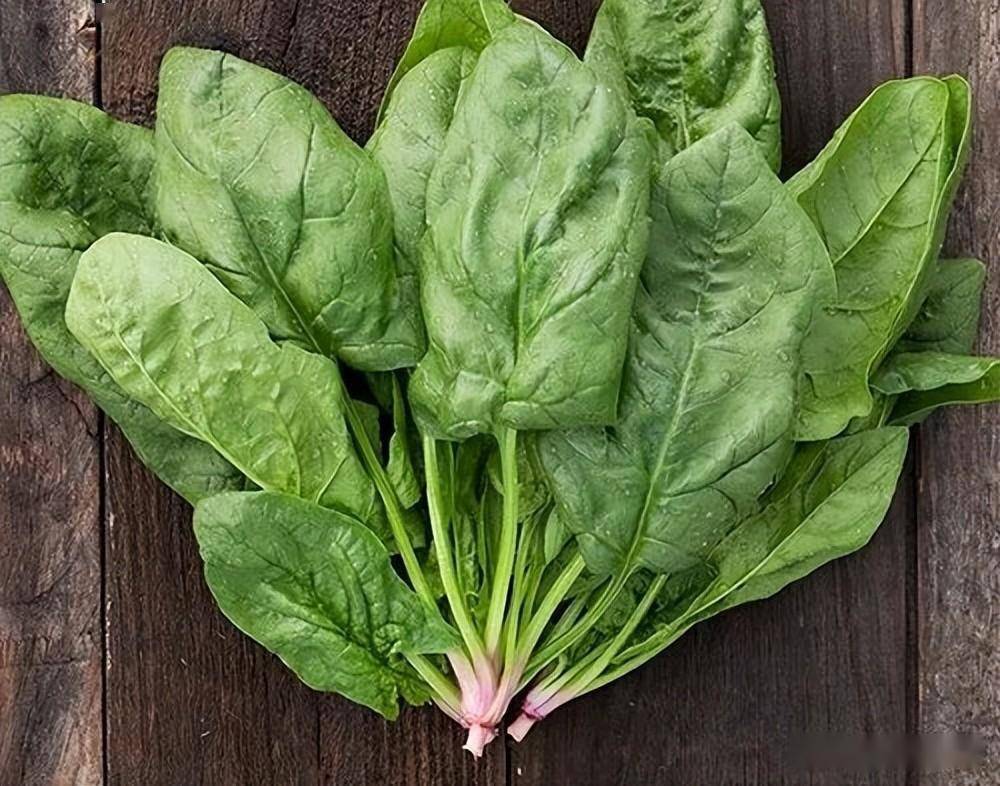 摆脱脱发烦恼，吃什么防脱发？