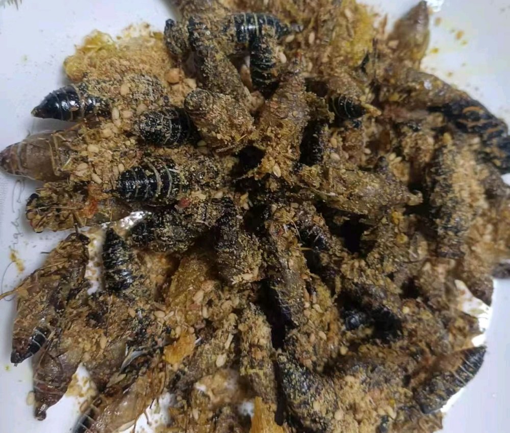 油炸知了猴的做法