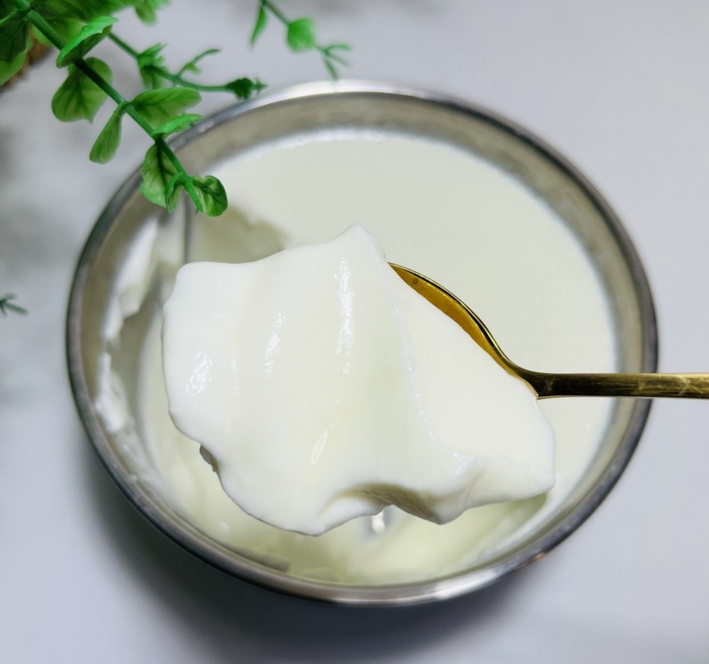 自制酸奶
