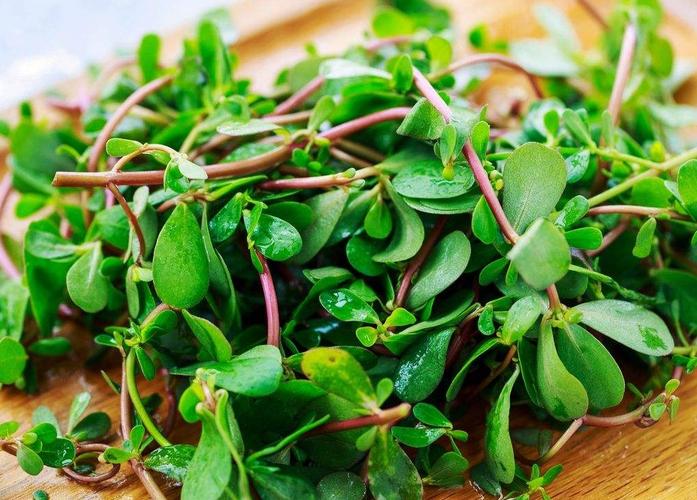 孕妇最好不要吃的5种蔬菜