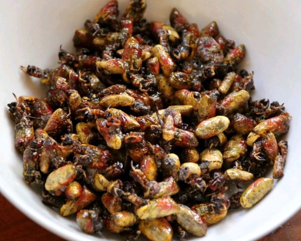 炸花蜘蛛的做法