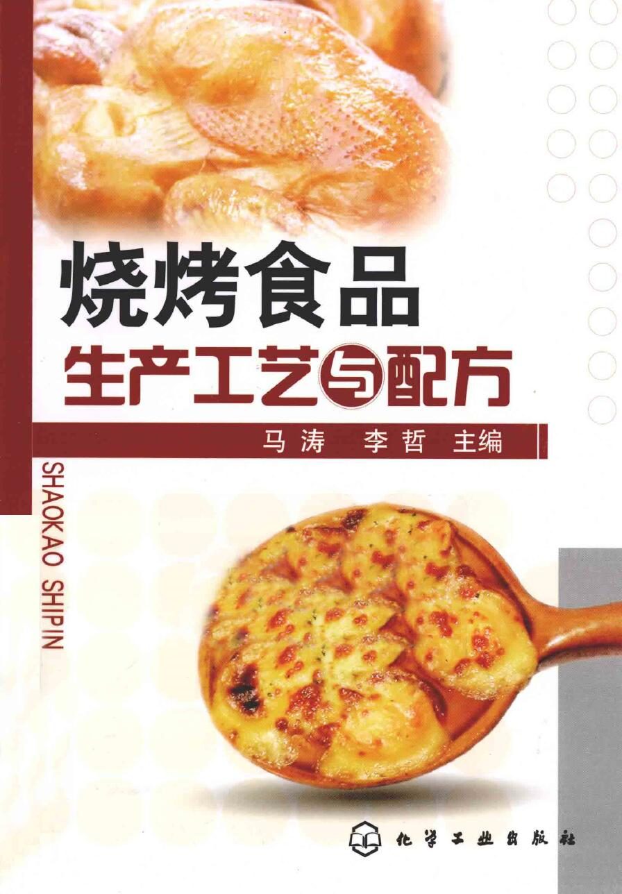 烧烤食品生产工艺和配方书籍