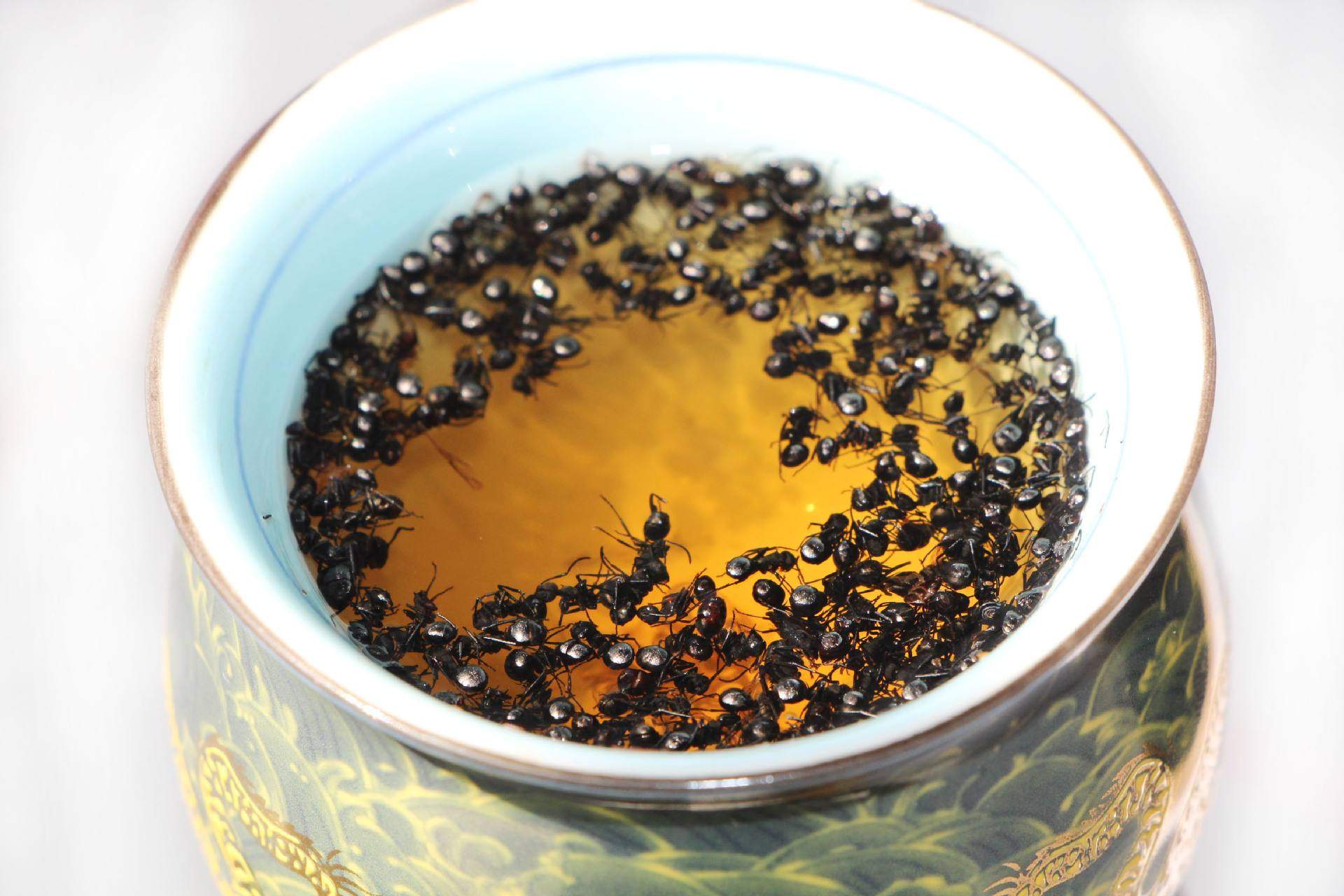 冬季适合喝6种药酒的做法