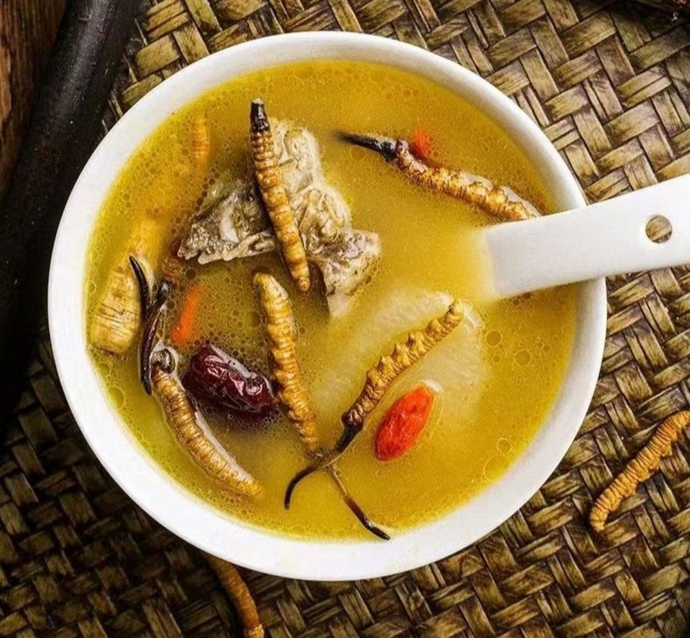 虫草进补注意事项的做法