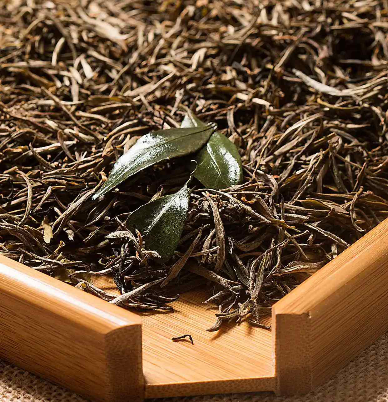 广东潮州工夫茶以哪种茶为主要茶品？绿茶还是乌龙茶？的做法