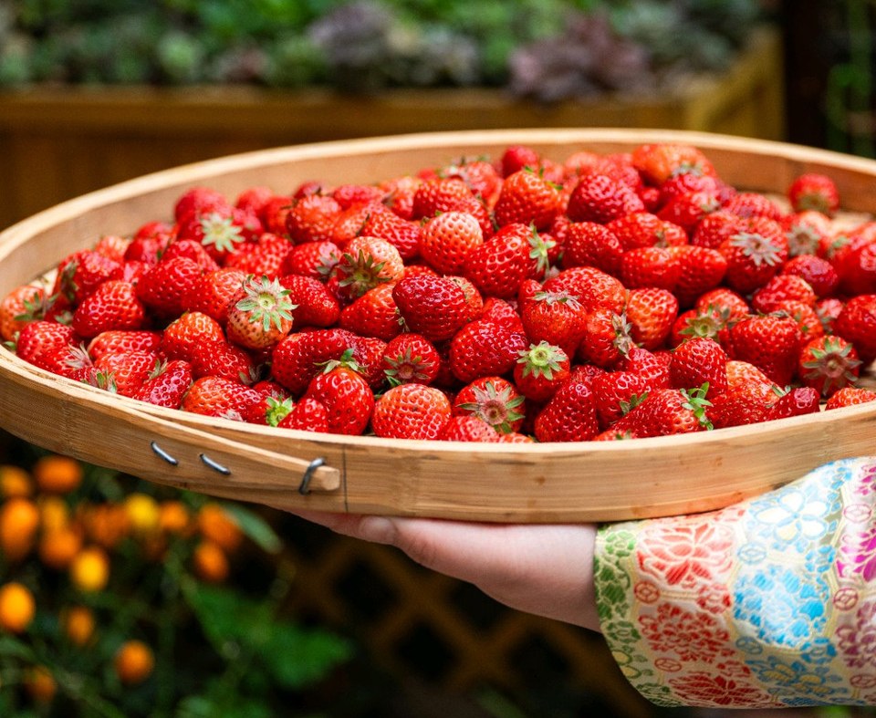 草莓季必不可少的草莓酱的做法