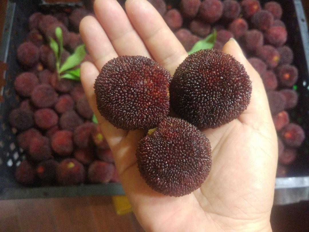 杨梅季，怎样才能消耗掉那么多的杨梅？的做法