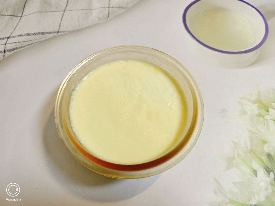 澳洲酸奶的做法