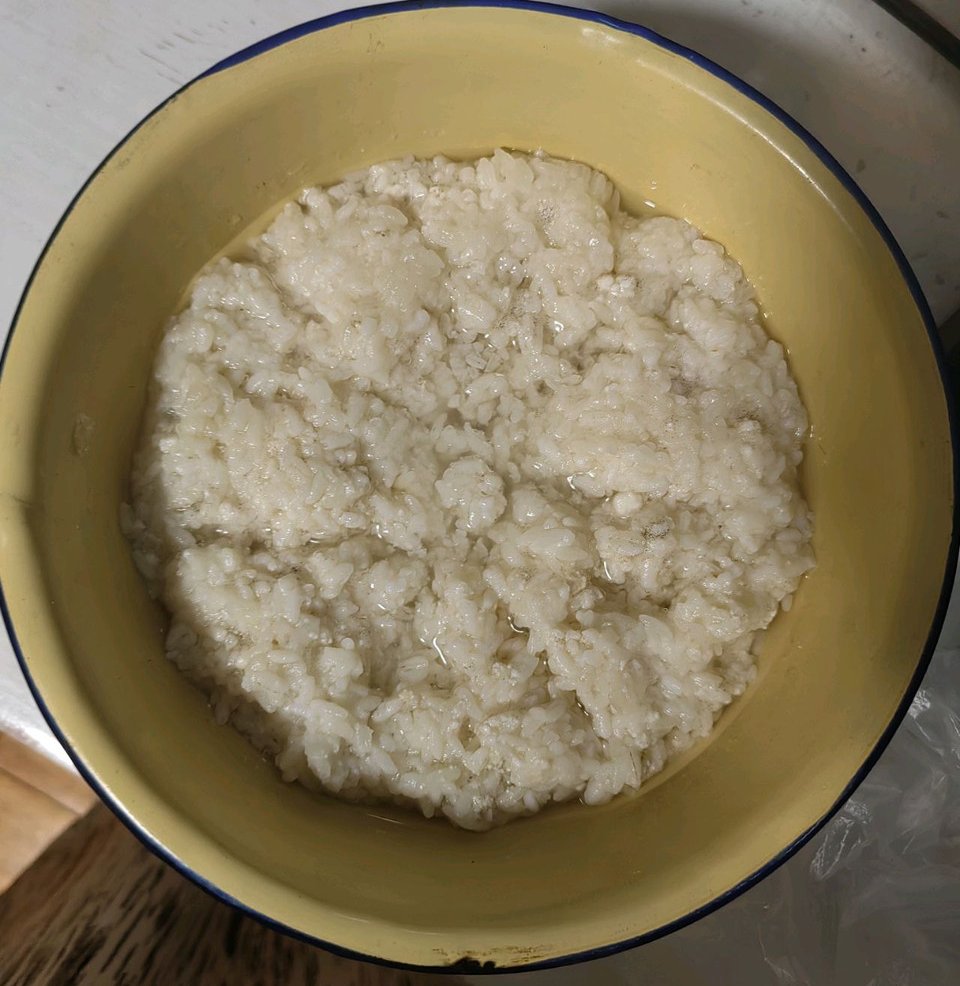 自制酒酿的做法