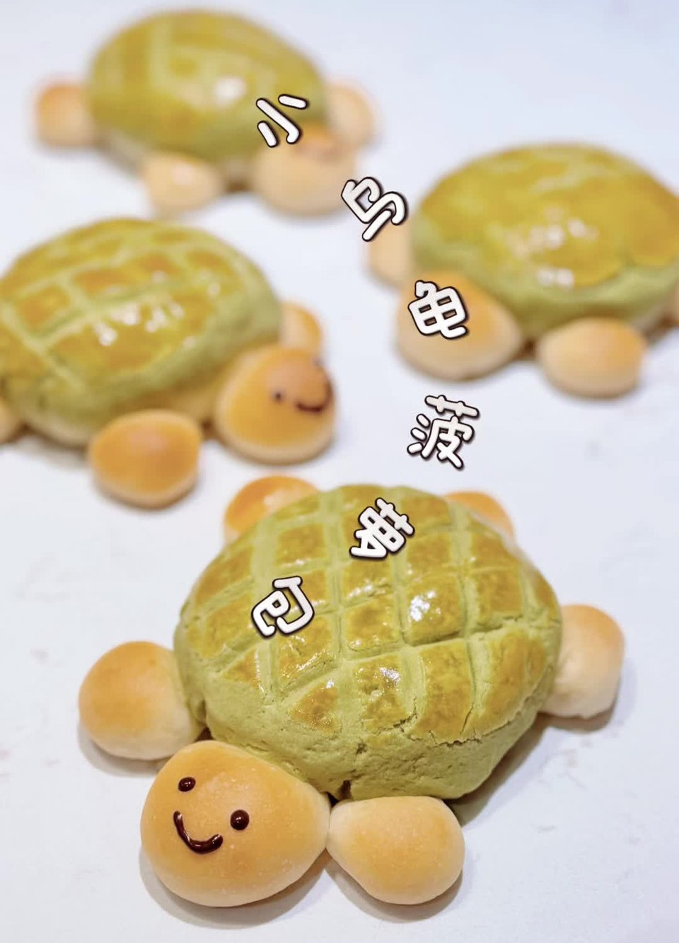 小乌龟菠萝包的做法 小乌龟菠萝包