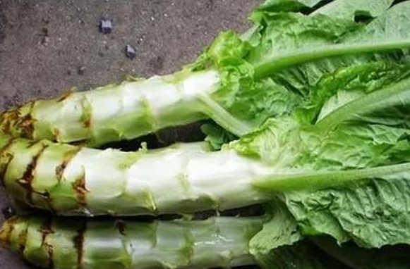 这一周啊，我可算是和笋杠上了，莴笋、春笋、毛竹笋…… 