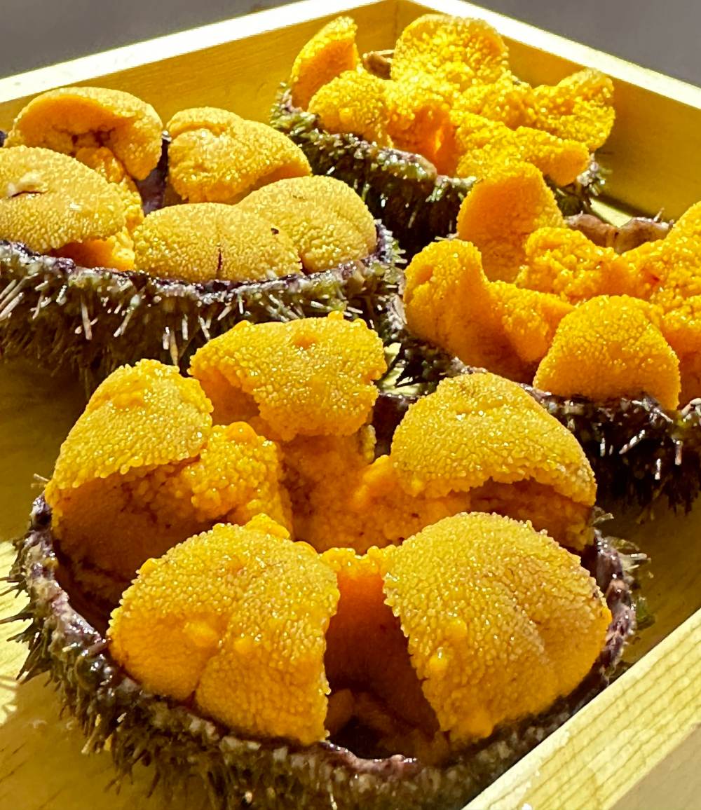 浪涌鲜味：大连海馔之华章