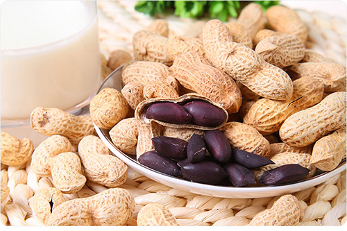 黑花生是转基因？黑花生的食用功效