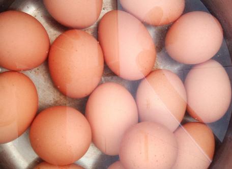 鸡蛋怎么煮好吃