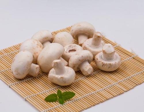 蘑菇怎么清洗