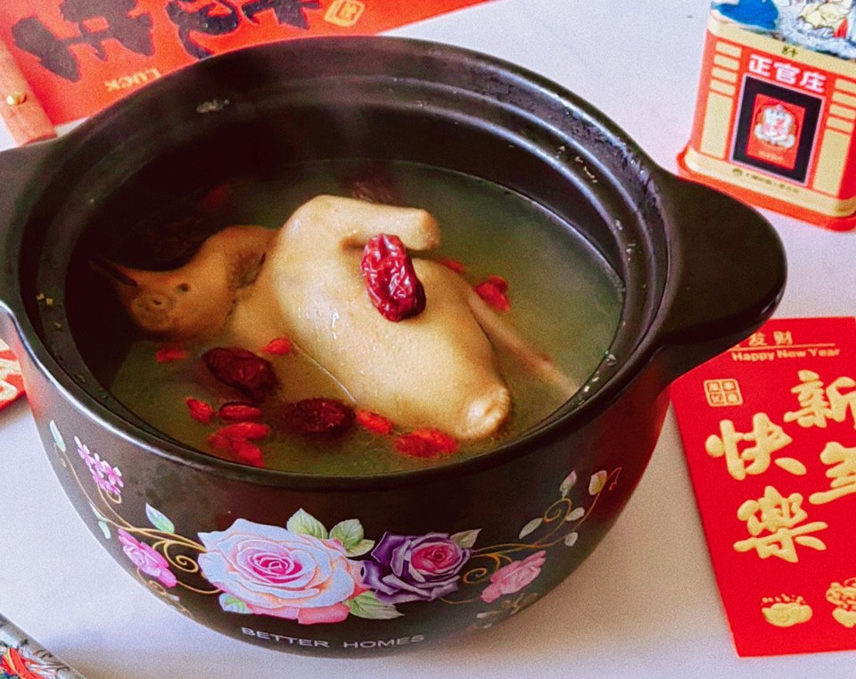 元气满满红叁炖鸽子汤